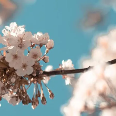 Unterholzhof Piesendorf