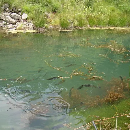 Vakantieboerderij Unterholzhof Piesendorf